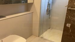 Wallich Street (D2), Condominium #486422361